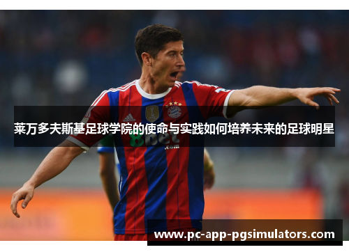 莱万多夫斯基足球学院的使命与实践如何培养未来的足球明星 莱万多夫斯基足球学院的使命与实践如何培养未来的足球明星