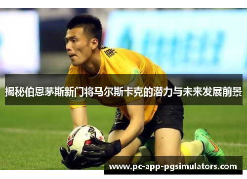 揭秘伯恩茅斯新门将马尔斯卡克的潜力与未来发展前景