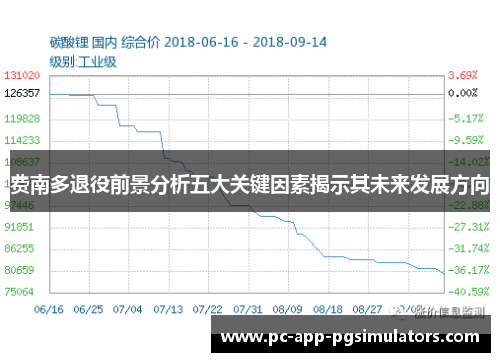 费南多退役前景分析五大关键因素揭示其未来发展方向